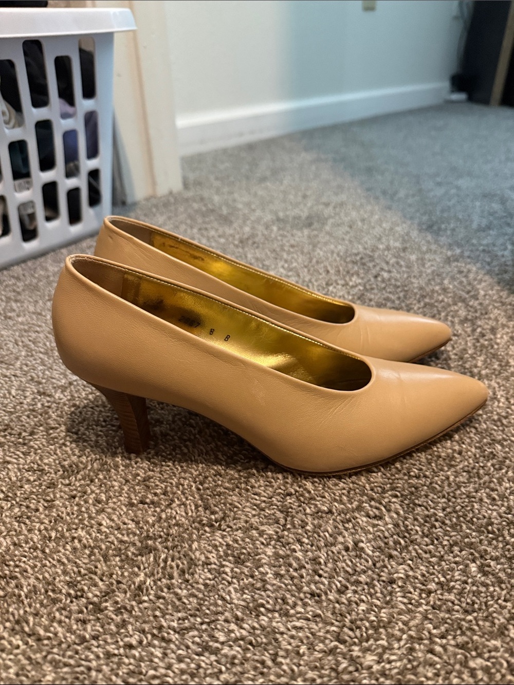 Classic Nude Pointed Toe Women's Pumps